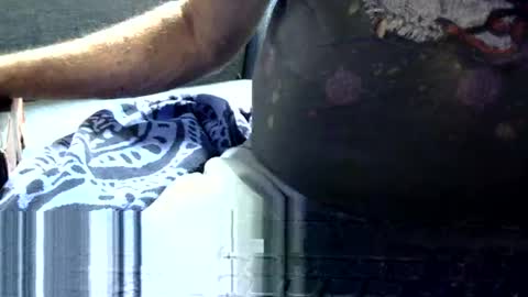 Snapshot of mphmsg7 chatting on June 3, 4:23 pm mphmsg7 online show from June 3, 4:23 pm