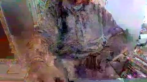 mppempis81 online show from November 25, 7:30 am