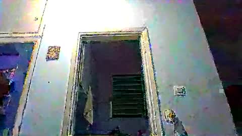 mppempis81 online show from January 11, 10:15 pm