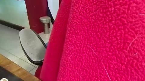 mr_atwood online show from April 20, 4:32 pm