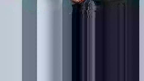 Snapshot of mr_i_ chatting on March 10, 8:37 am mr_i_ online show from March 10, 8:37 am