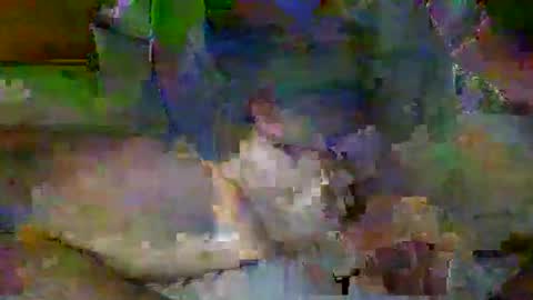 Snapshot of mre11118957 chatting on April 6, 2:09 am Mr-E online show from April 6, 2:09 am