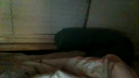Snapshot of mrgray11xxx chatting on December 20, 2:38 pm mrgray11xxx aussie online show from December 20, 2:38 pm