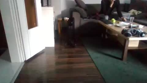 Snapshot of mrhandsomelovee chatting on February 17, 11:02 am Nikola online show from February 17, 11:02 am