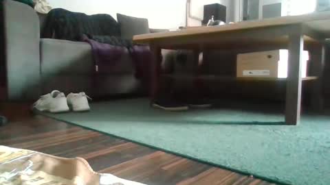 Snapshot of mrhandsomelovee chatting on February 27, 11:52 am Nikola online show from February 27, 11:52 am