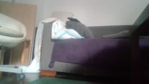 Snapshot of mrhandsomelovee chatting on October 18, 9:54 am Nikola online show from October 18, 9:54 am