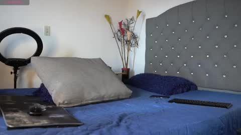 Snapshot of mrlouiss chatting on February 17, 4:15 pm Luis Instagram online show from February 17, 4:15 pm