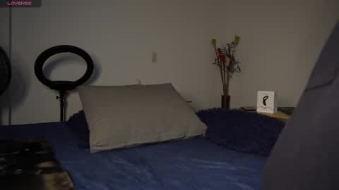 Snapshot of mrlouiss chatting on February 23, 7:28 pm Luis Instagram online show from February 23, 7:28 pm