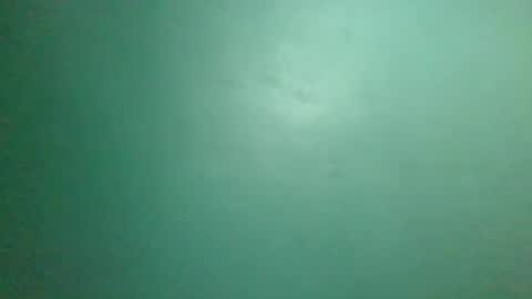 Snapshot of mrlust6969 chatting on January 25, 5:08 pm mrlust6969 online show from January 25, 5:08 pm
