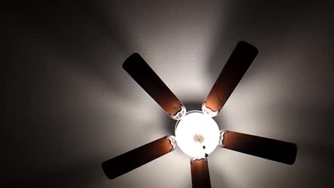 Snapshot of mrorange50187 chatting on December 1, 10:21 pm mrorange50187 online show from December 1, 10:21 pm