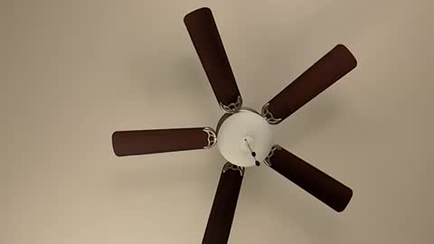 Snapshot of mrorange50187 chatting on January 8, 5:48 pm mrorange50187 online show from January 8, 5:48 pm