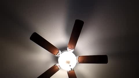 Snapshot of mrorange50187 chatting on January 26, 10:02 pm mrorange50187 online show from January 26, 10:02 pm