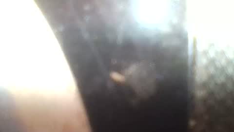 Snapshot of mrvenusx chatting on January 30, 2:36 pm Mrs Venus online show from January 30, 2:36 pm