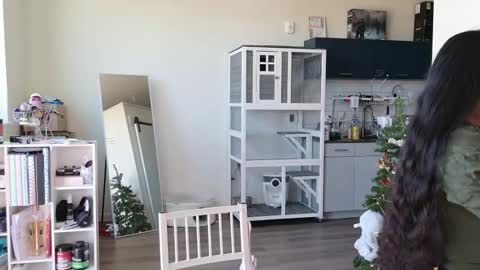 R o r i  SnapChat heyroriv2 wednesday - sunday Noon oclock mountain - 5pm mountain online show from October 25, 6:35 pm