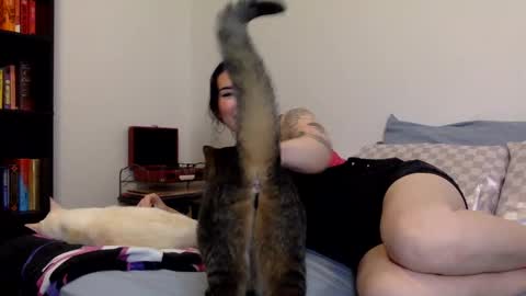 Snapshot of msrubyhayes chatting on December 11, 3:13 am Ruby online show from December 11, 3:13 am