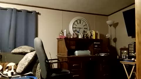 muddflapz online show from November 22, 6:12 am