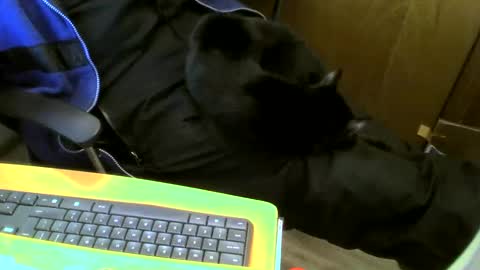 muller520 online show from January 18, 3:59 pm