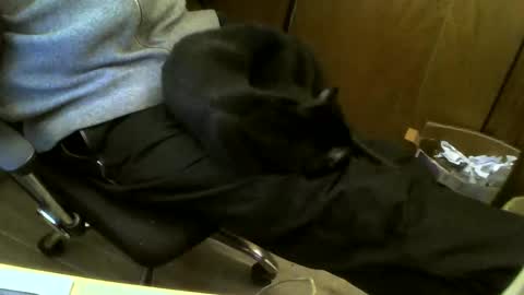 muller520 online show from February 19, 5:06 pm