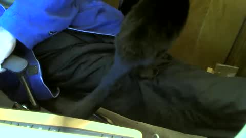 muller520 online show from February 23, 3:18 pm