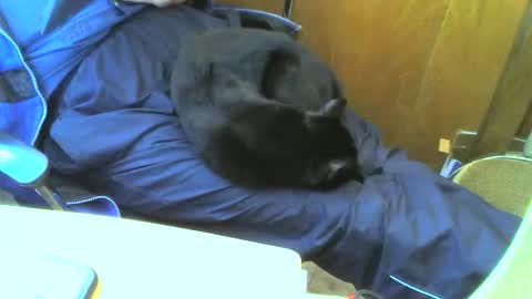 muller520 online show from September 15, 2:50 pm