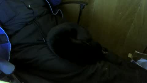 muller520 online show from October 29, 1:57 pm