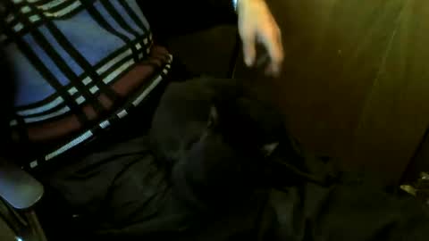 muller520 online show from March 24, 4:34 pm