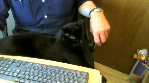 Snapshot of muller520 chatting on July 31, 5:23 pm muller520 online show from July 31, 5:23 pm
