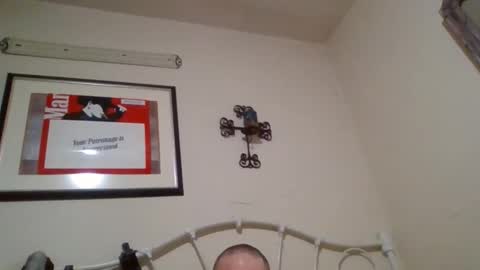 Snapshot of mustang2020gt123 chatting on February 4, 11:27 am mustang2020gt123 online show from February 4, 11:27 am