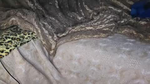 Muzzy online show from April 18, 10:43 pm