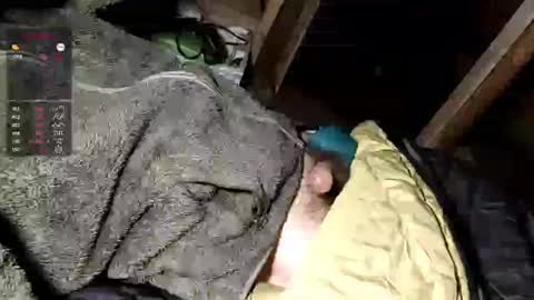 Snapshot of mxdnxss chatting on September 30, 5:12 am Maty online show from September 30, 5:12 am