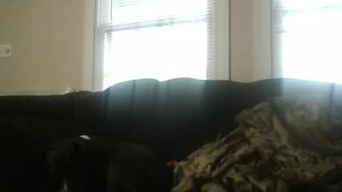 my_banana_creampies online show from February 19, 1:51 pm