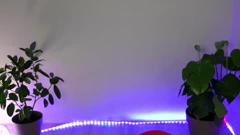  Eve  online show from October 11, 10:30 pm