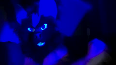 Snapshot of n33ds2br33d chatting on October 19, 3:07 am n33ds2br33d online show from October 19, 3:07 am