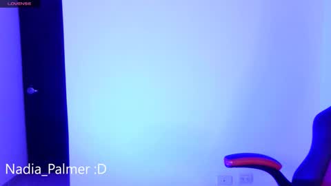 Snapshot of nadia_palmer chatting on December 4, 2:54 am Nadi online show from December 4, 2:54 am