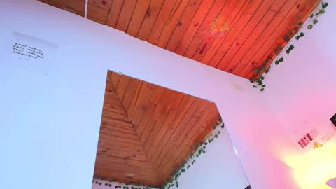 Naia x online show from January 9, 8:21 pm