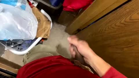 nairda2senoniuq online show from December 5, 4:09 am