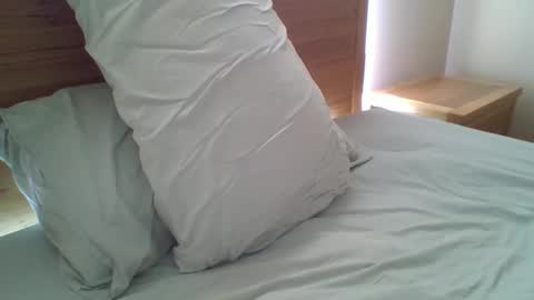 Snapshot of naitruc chatting on December 5, 1:58 am naitruc online show from December 5, 1:58 am