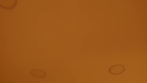 INSTAGRAM  m2221     online show from April 8, 10:04 am