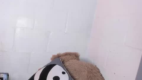 Snapshot of nala_sc chatting on June 3, 7:44 am nala_sc online show from June 3, 7:44 am