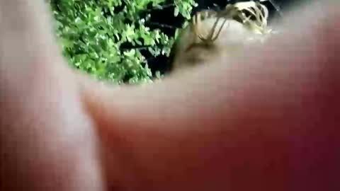 nanna_and_balder2 online show from April 19, 3:28 am