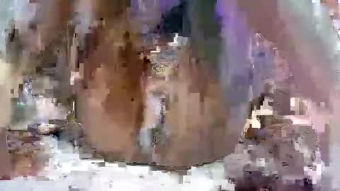 Snapshot of nasty_toy chatting on January 9, 6:17 am nasty toy online show from January 9, 6:17 am