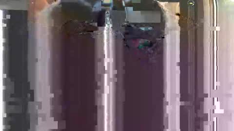 Snapshot of nastyyyyydoo chatting on December 16, 8:41 am nastyyyyydoo online show from December 16, 8:41 am