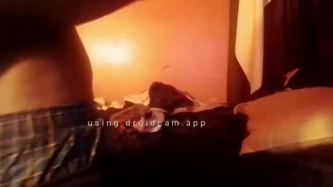 Snapshot of nathanbutler0 chatting on October 31, 5:52 am nathanbutler0 online show from October 31, 5:52 am