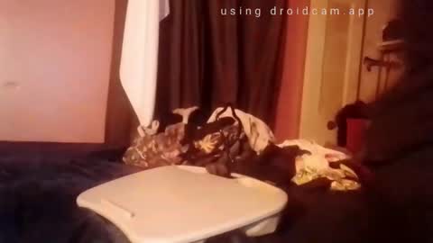 Snapshot of nathanbutler0 chatting on November 1, 2:52 pm nathanbutler0 online show from November 1, 2:52 pm