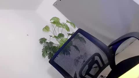 Call me Carol online show from April 10, 5:34 am