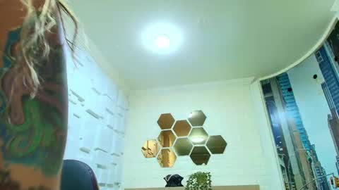 Kitten online show from February 12, 10:43 am