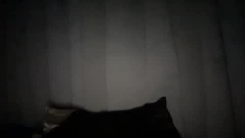 Rose Wilson online show from January 6, 10:24 am