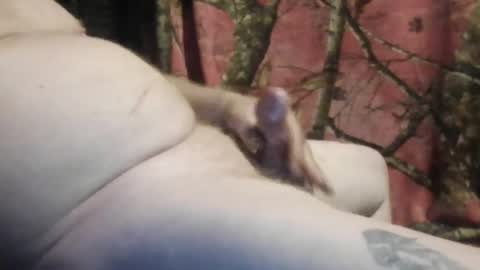 Snapshot of ned_is_naughty chatting on March 7, 10:45 am ned is naughty online show from March 7, 10:45 am
