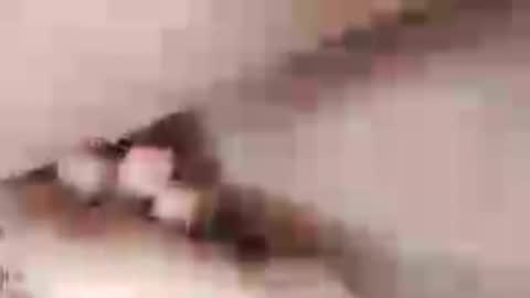negrett_ online show from June 1, 5:03 pm