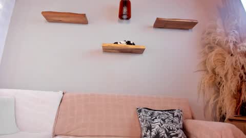 Jordan online show from March 3, 12:11 pm